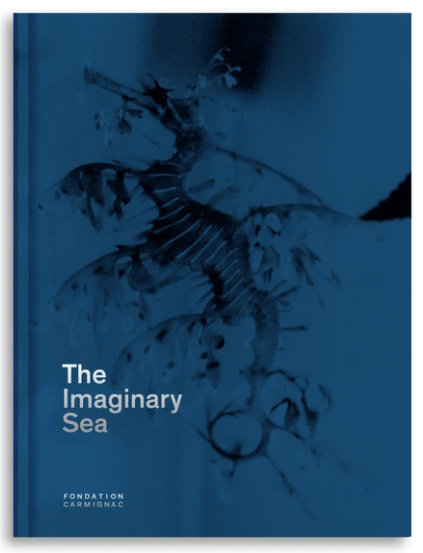The Imaginary Sea