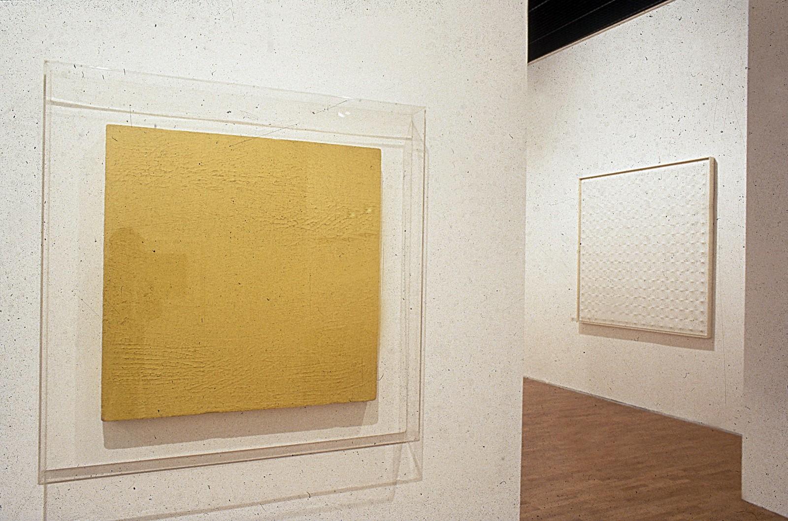 View of the exhibition "La Couleur seule : l'expérience du monochrome", Musée Saint-Pierre art contemporain, 1988 (M 46)