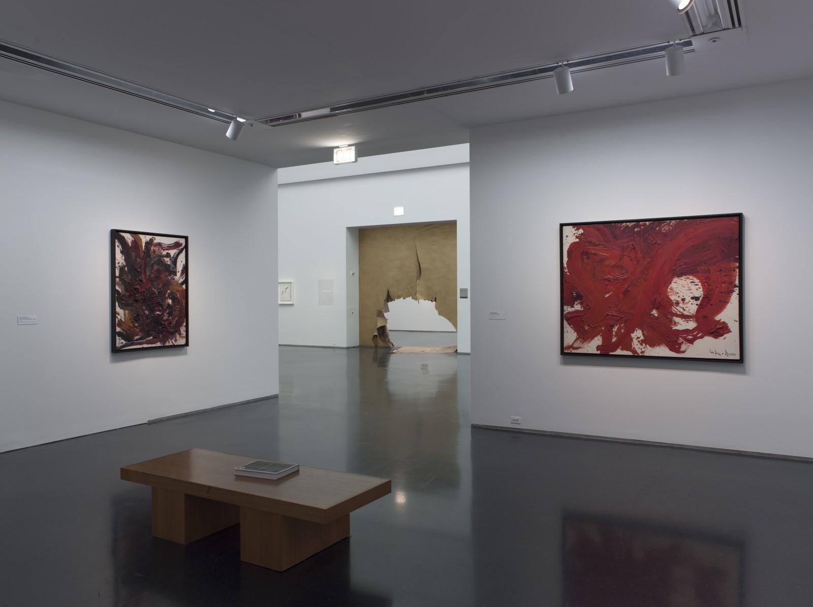 Vue de l'exposition "Destroy the Picture: Painting the Void, 1949-1962", Museum of Contemporary Art Australia, 2013