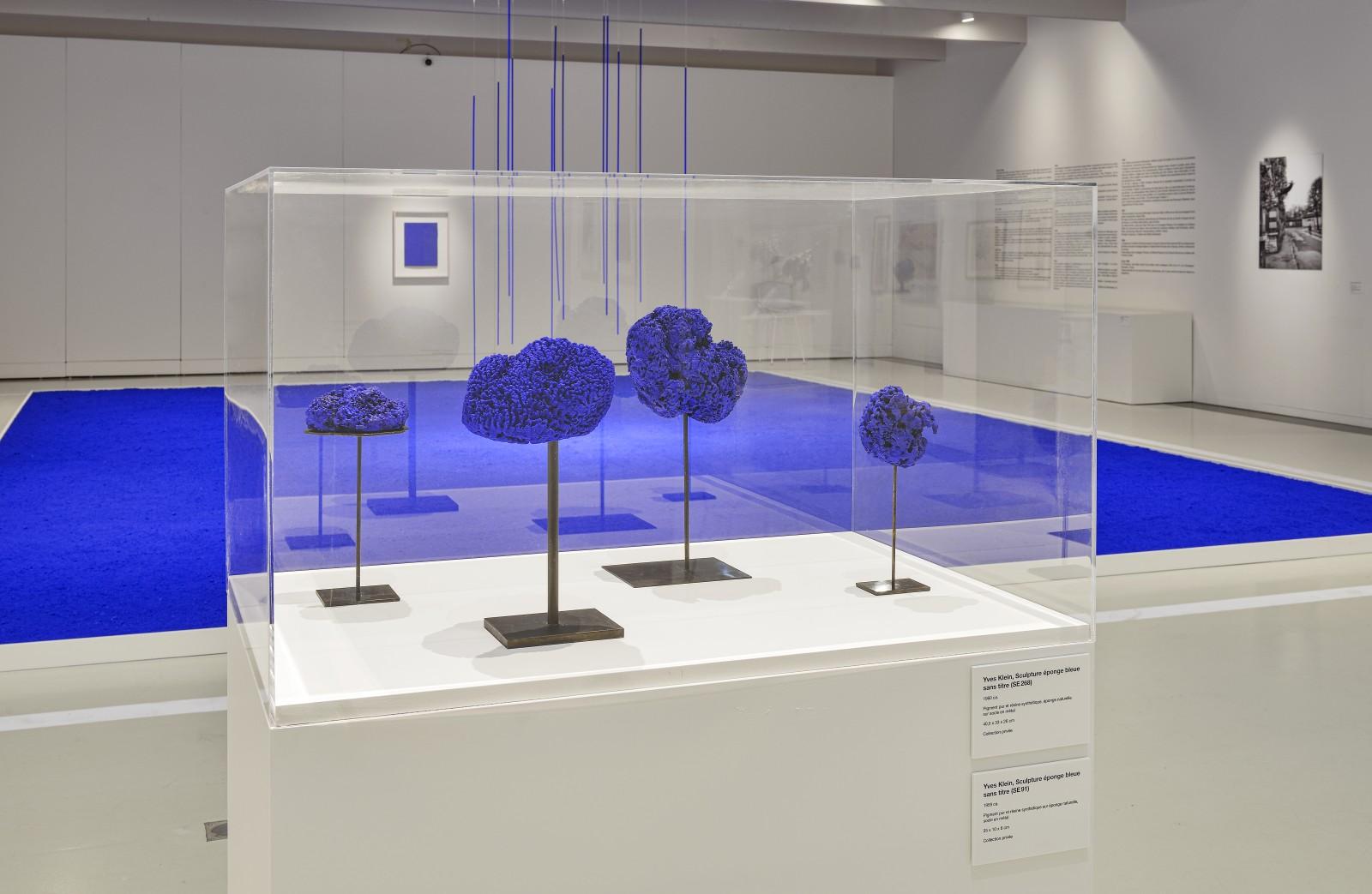 Vue de l'exposition, "Yves Klein - Des cris bleus", Musée Soulages, 2019