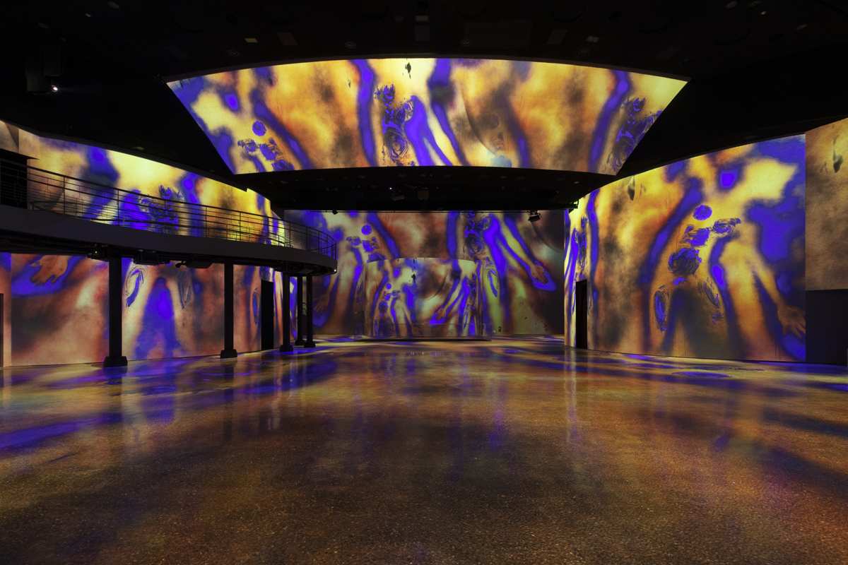 View of the immersive exhibition "Infinite blue"