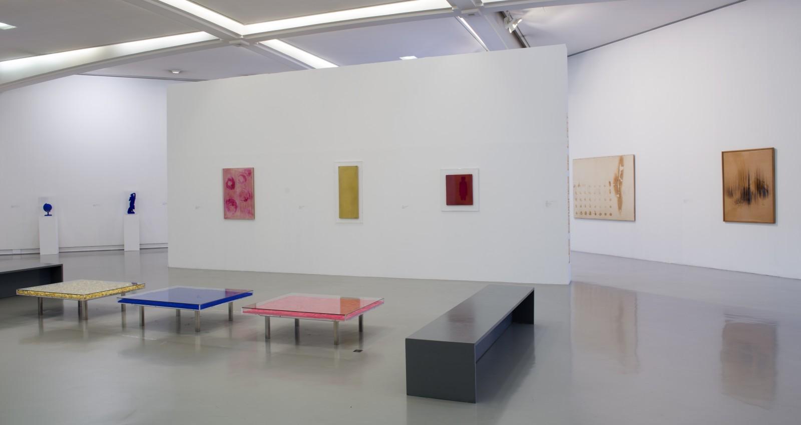 View of the exhibition "Collectors", MAMAC - Musée d'Art Moderne et d'Art Contemporain de Nice, 2015 ( COS 24, M 56, MP 9, F 55, F 71)