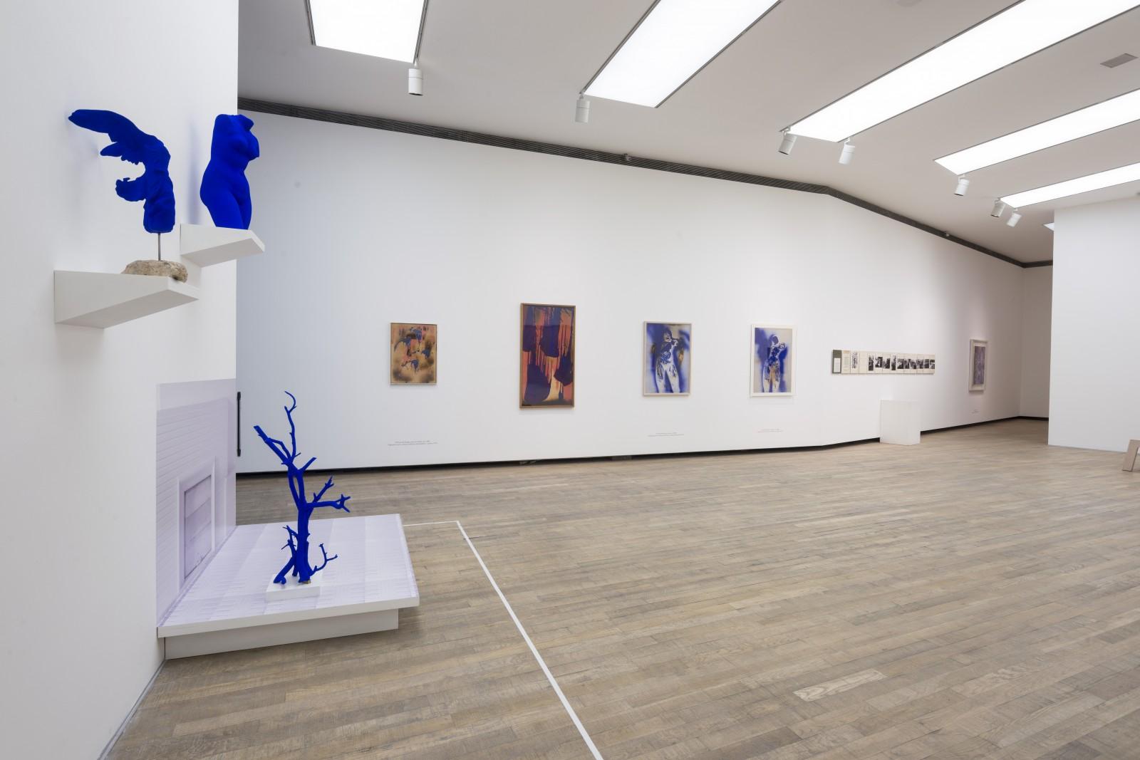 Vue de l'exposition "Yves Klein - Retrospectiva", PROA Fundación, 2017