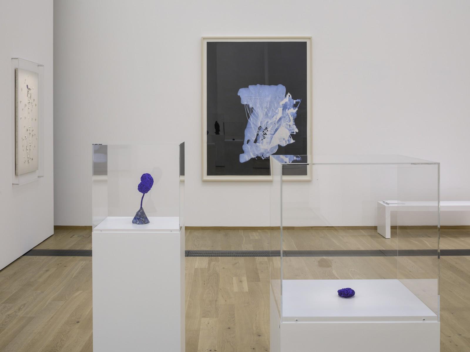 View of the exhibition, "Face-to-Face with Images", Draiflessen Collection, 2017, (SE 185, SE sn 142)
