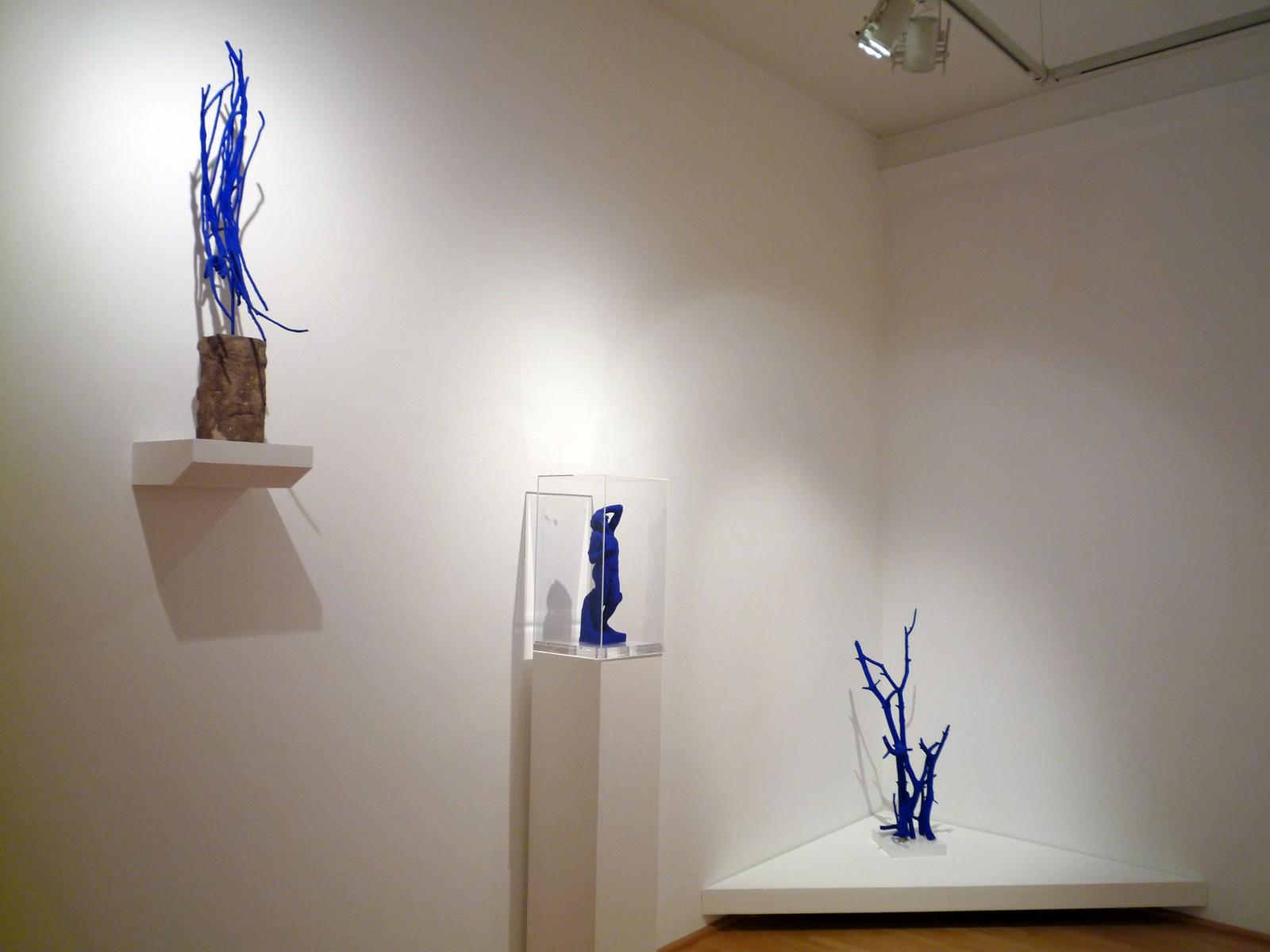 Vue de l'exposition "Yves Klein & Rotraut", Museo Cantonale d'Arte e il Museo d'Arte della città di Lugano, 2009